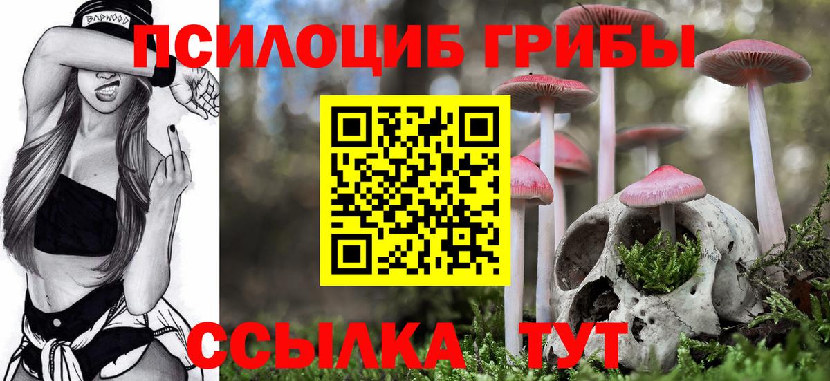 Когалым  Псилоцибиновые грибы Psilocybine cubensis  Вход с VPN  Псилоцибиновые грибы Psilocybine cubensis 